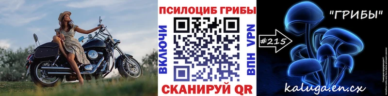 Галлюциногенные грибы GOLDEN TEACHER  Купить  Палласовка 